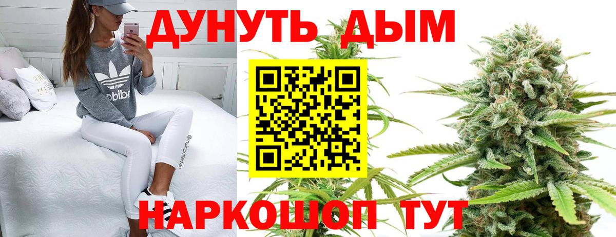 Бошки Шишки семена Тверь